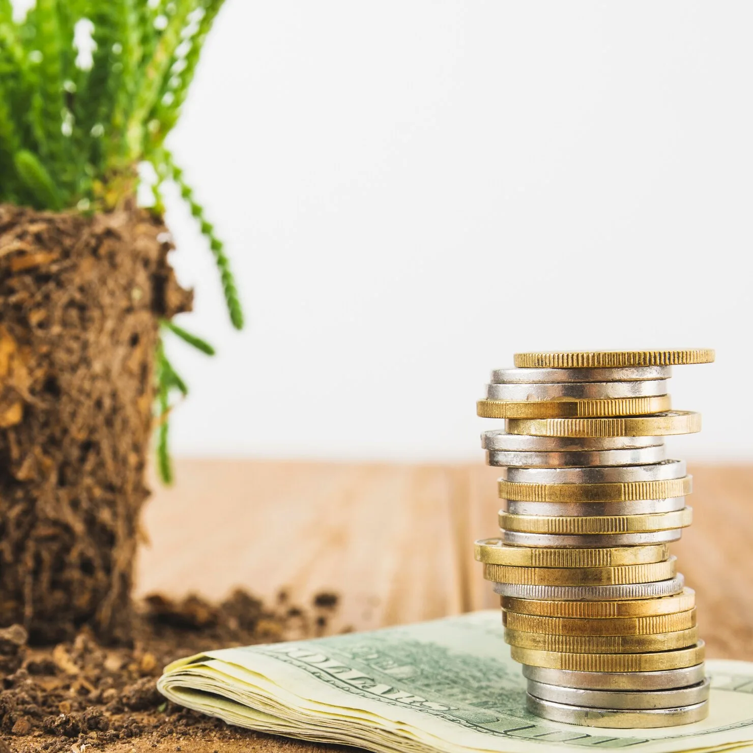 Imagem representativa do LCA, emprestando dinheiro para o financiamento do setor de agronegócio